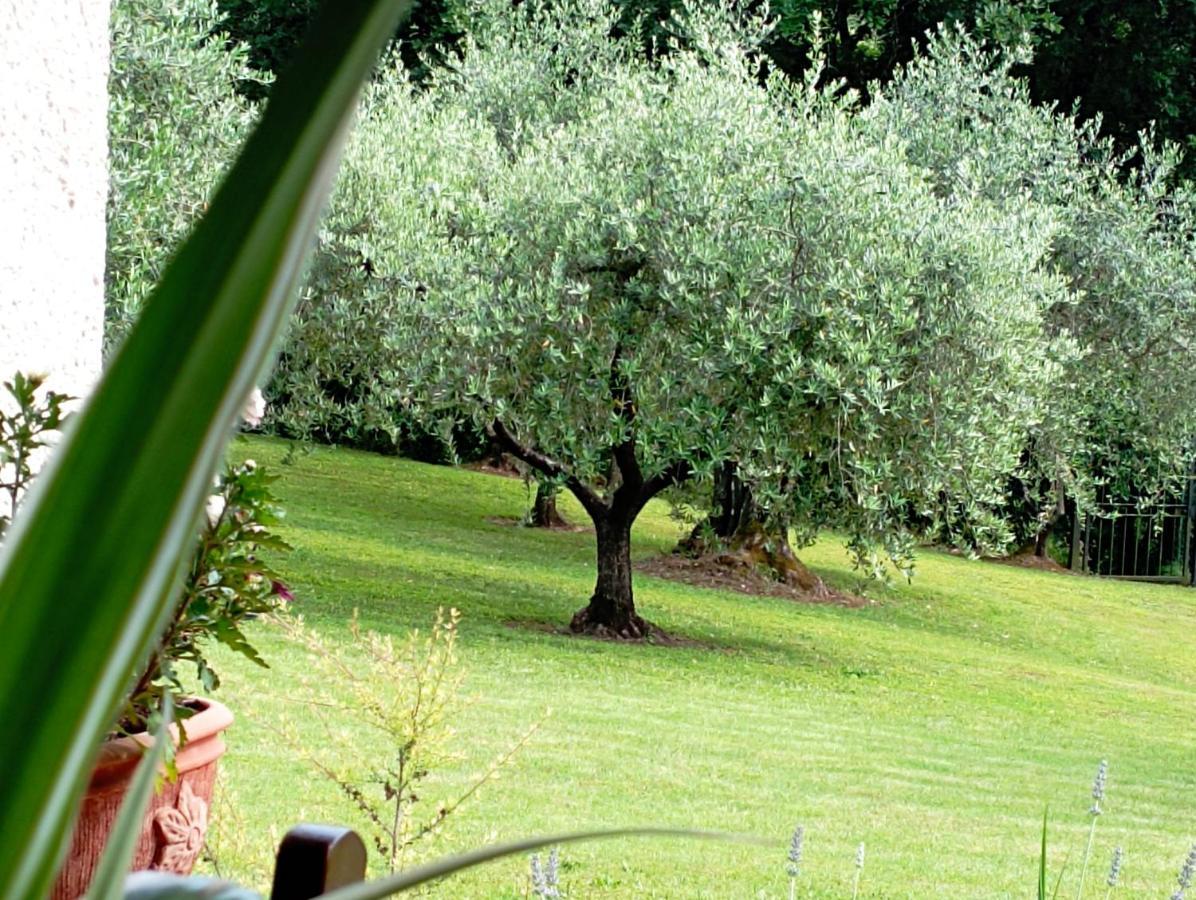 Villa Luna Comeana Extérieur photo