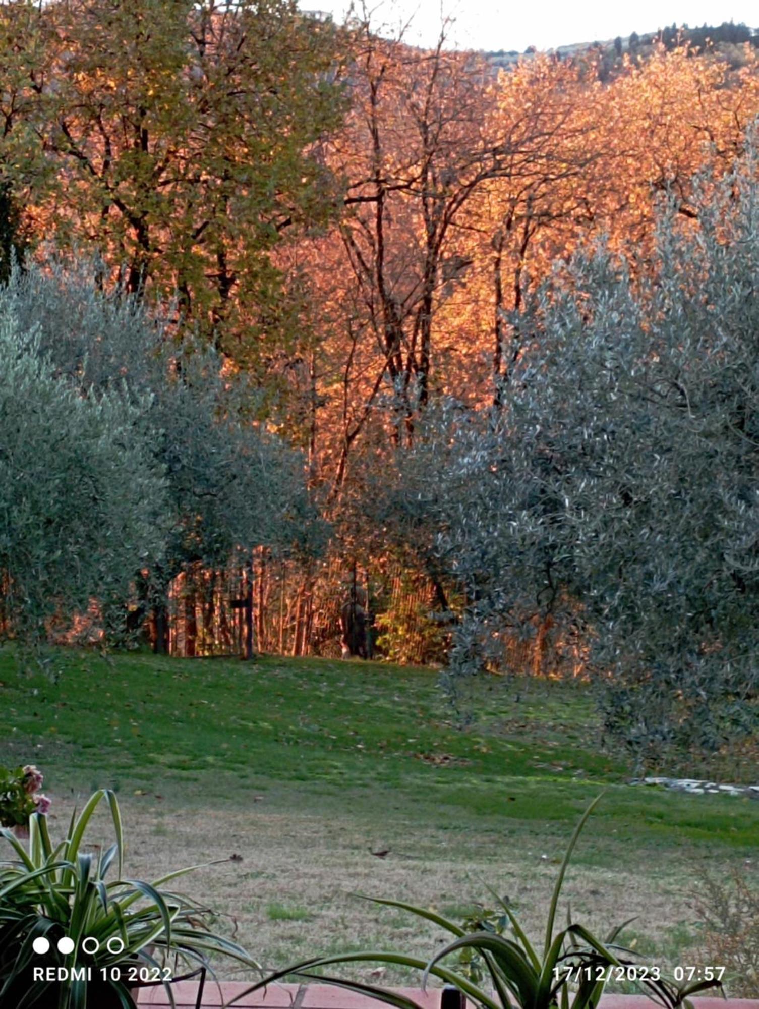 Villa Luna Comeana Extérieur photo