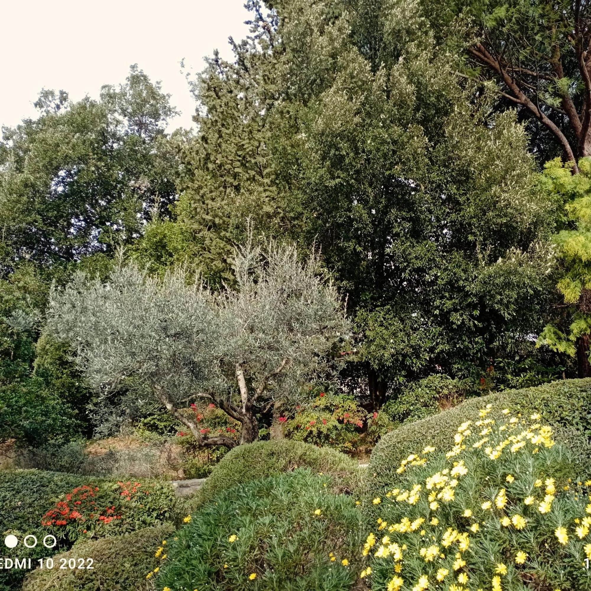 Villa Luna Comeana Extérieur photo
